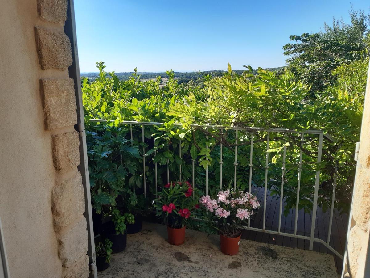 Mas Luis Alvarez La Capelle-et-Masmolene Buitenkant foto