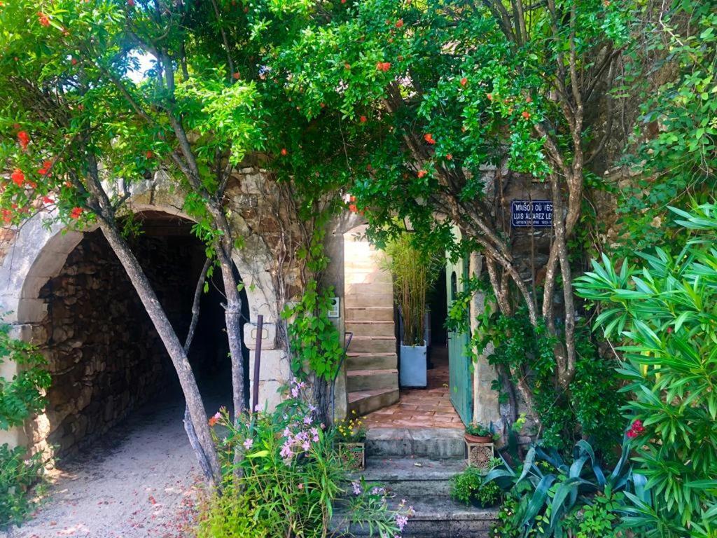 Mas Luis Alvarez La Capelle-et-Masmolene Buitenkant foto