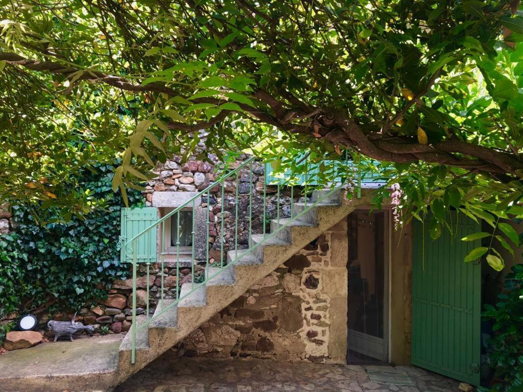 Mas Luis Alvarez La Capelle-et-Masmolene Buitenkant foto